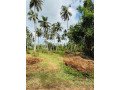 land-for-sale-in-walasmulla-small-1