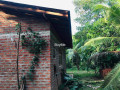 land-with-house-for-sale-in-ranna-thalamporuva-small-4