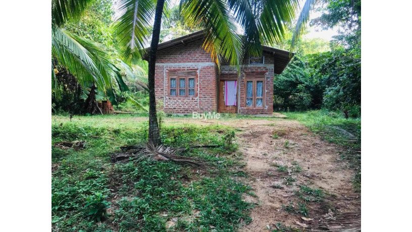 land-with-house-for-sale-in-ranna-thalamporuva-big-0