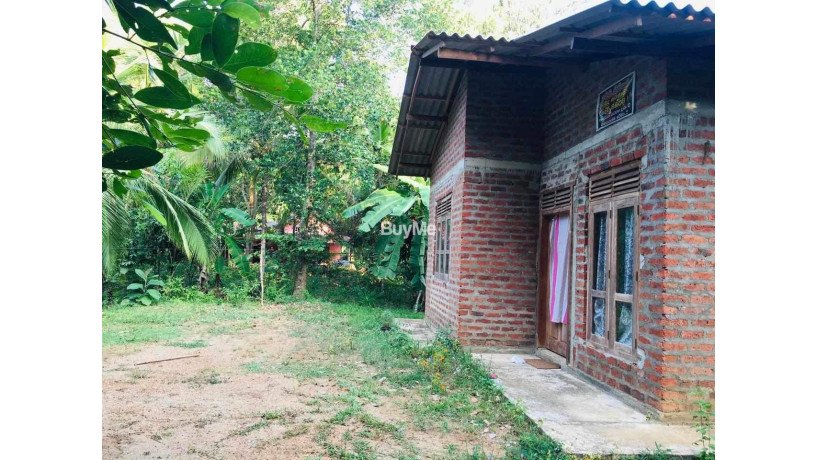 land-with-house-for-sale-in-ranna-thalamporuva-big-2