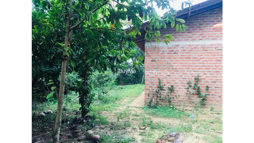 land-with-house-for-sale-in-ranna-thalamporuva-big-3