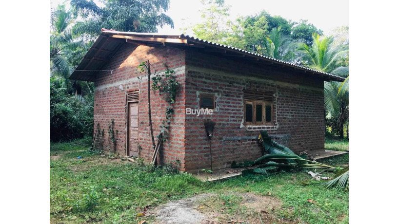 land-with-house-for-sale-in-ranna-thalamporuva-big-1