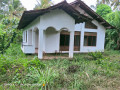house-for-sale-in-makandura-small-2