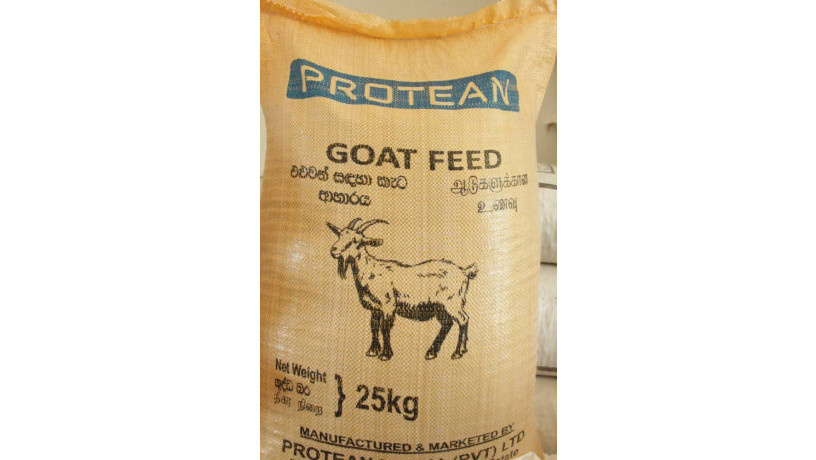 protein-rich-goat-feed-for-sale-big-1
