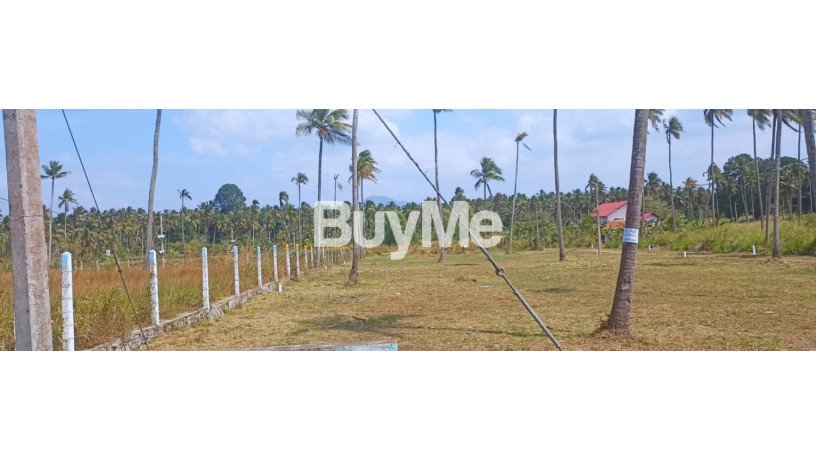 bare-land-for-sale-in-kurunegala-s329-big-4