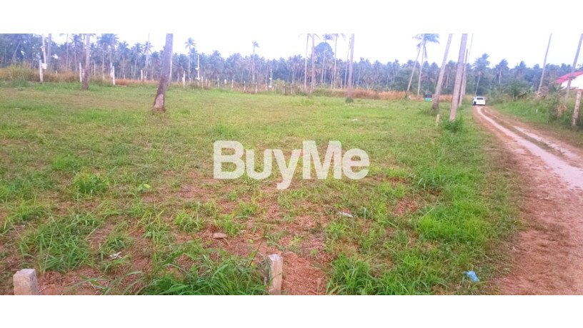 bare-land-for-sale-in-kurunegala-s329-big-3