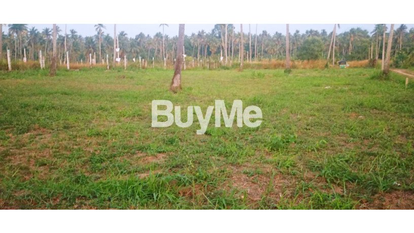 bare-land-for-sale-in-kurunegala-s329-big-1