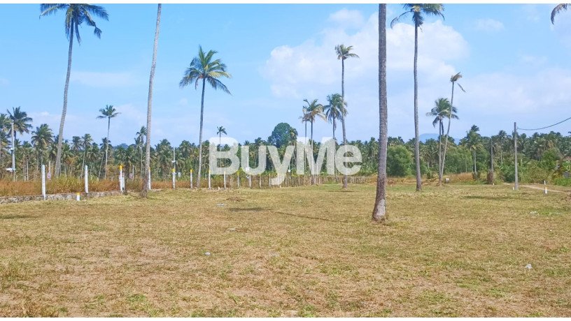 bare-land-for-sale-in-kurunegala-s329-big-0