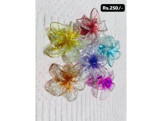 HAIR CLIP COLOUR