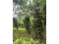 land-for-sale-in-matale-small-5