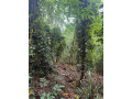 land-for-sale-in-matale-small-0