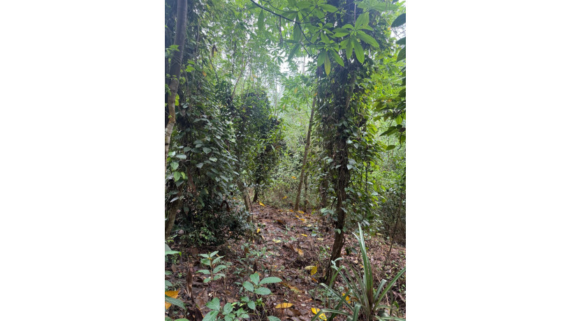 land-for-sale-in-matale-big-0