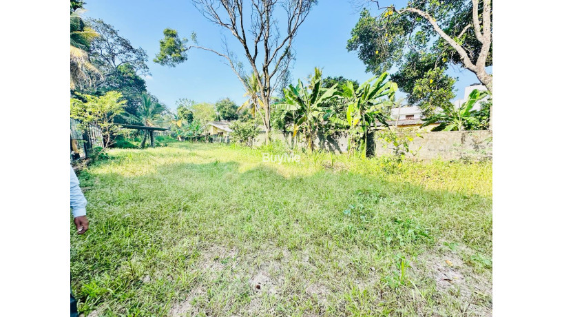 bare-land-for-sale-in-rajagiriya-buthgamuwa-s261-big-1