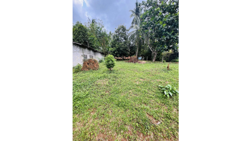10-perch-land-for-sale-in-wathupitiwala-nittambuwa-big-2