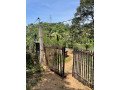 73-perch-land-for-sale-in-balangoda-rivefront-walawe-river-property-small-7