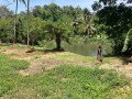 73-perch-land-for-sale-in-balangoda-rivefront-walawe-river-property-small-0