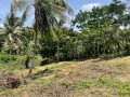 73-perch-land-for-sale-in-balangoda-rivefront-walawe-river-property-small-4