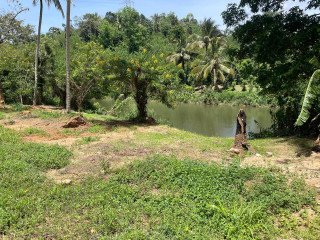 73 PERCH LAND FOR SALE IN BALANGODA – RIVEFRONT (WALAWE RIVER) PROPERTY