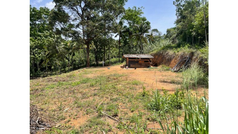 73-perch-land-for-sale-in-balangoda-rivefront-walawe-river-property-big-5