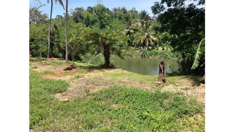 73-perch-land-for-sale-in-balangoda-rivefront-walawe-river-property-big-0