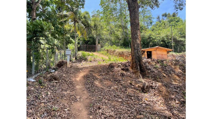 73-perch-land-for-sale-in-balangoda-rivefront-walawe-river-property-big-3