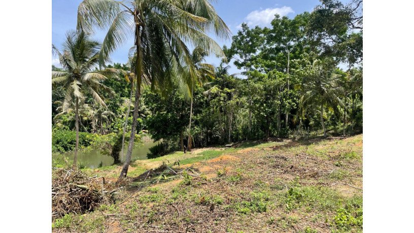 73-perch-land-for-sale-in-balangoda-rivefront-walawe-river-property-big-4