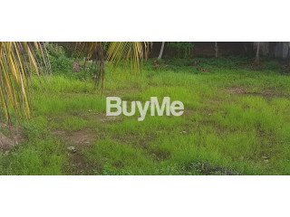 7 PERCH LAND BLOCKS FOR SALE IN RATMALANA - SIRIMAL UYANA