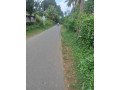 land-for-sale-in-arukwatta-ganegoda-area-padukka-small-4