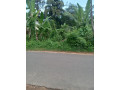 land-for-sale-in-arukwatta-ganegoda-area-padukka-small-1