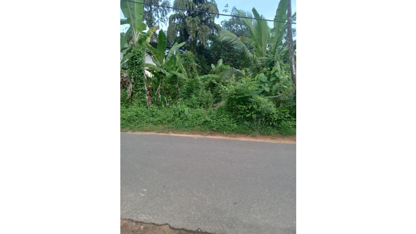land-for-sale-in-arukwatta-ganegoda-area-padukka-big-1