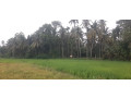 44-perch-land-for-sale-in-buthpitiya-gampaha-small-3