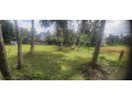 44-perch-land-for-sale-in-buthpitiya-gampaha-small-7