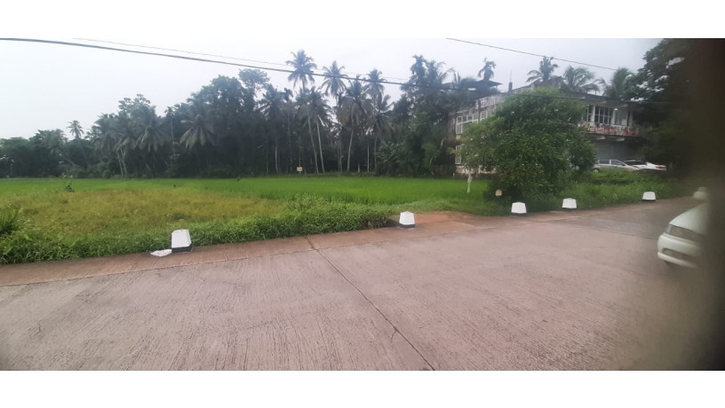 44-perch-land-for-sale-in-buthpitiya-gampaha-big-5