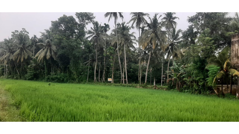 44-perch-land-for-sale-in-buthpitiya-gampaha-big-4