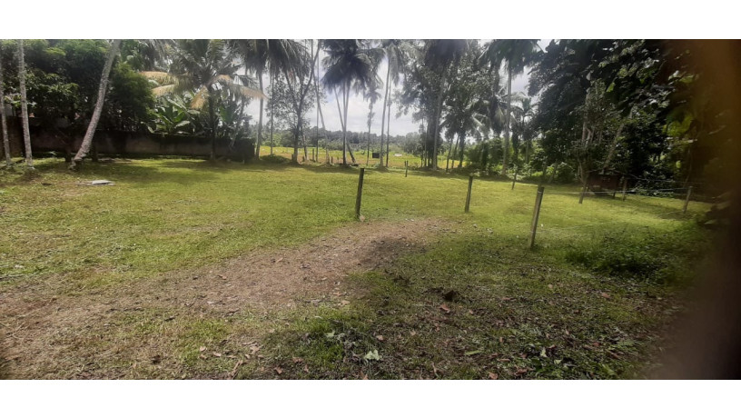 44-perch-land-for-sale-in-buthpitiya-gampaha-big-2