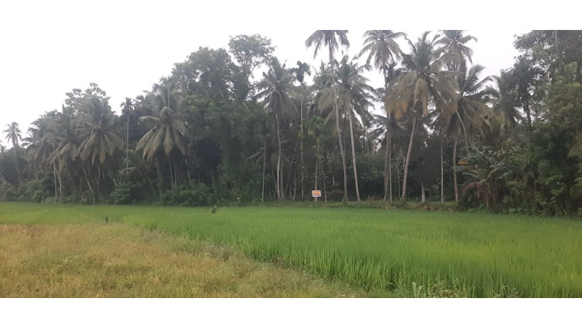 44-perch-land-for-sale-in-buthpitiya-gampaha-big-3