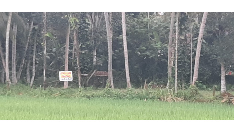 44-perch-land-for-sale-in-buthpitiya-gampaha-big-6