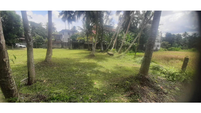 44-perch-land-for-sale-in-buthpitiya-gampaha-big-7