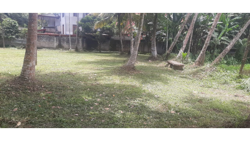 44-perch-land-for-sale-in-buthpitiya-gampaha-big-0