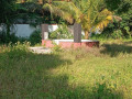 land-with-house-for-sale-in-manipay-small-5