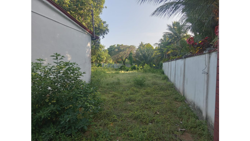 land-with-house-for-sale-in-manipay-big-7
