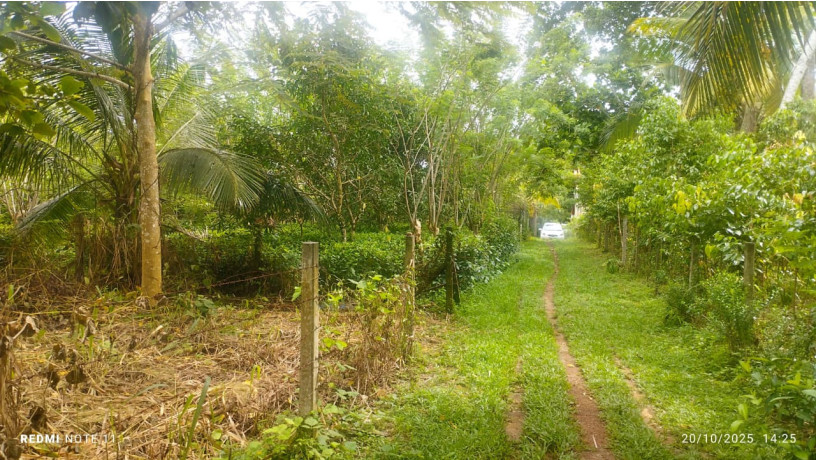 land-for-sale-in-ambalangoda-big-6