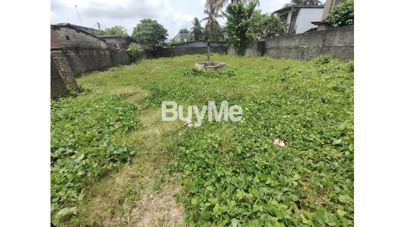 land-for-sale-in-wellampitiya-maha-buthugama-big-0