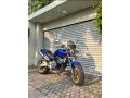honda-hornet-250-small-1