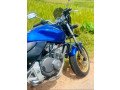 honda-hornet-250-small-4