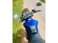 honda-hornet-250-small-3
