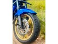 honda-hornet-250-small-5