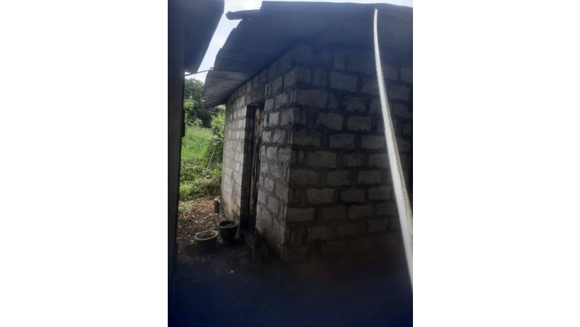 land-with-house-for-sale-in-nattandiya-tabbowa-big-1