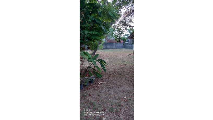 land-for-sale-in-wattala-t361-big-3