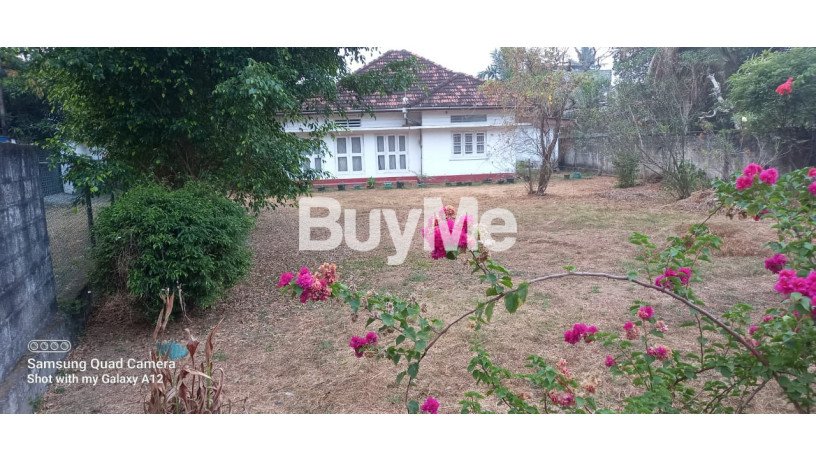 land-for-sale-in-wattala-t361-big-0